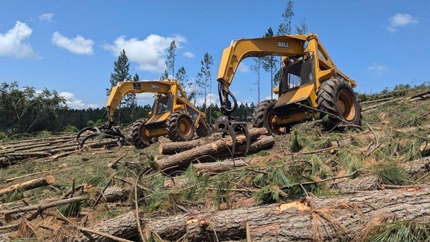 Do Tree Removal Companies in Chardon Offer Free Estimates?