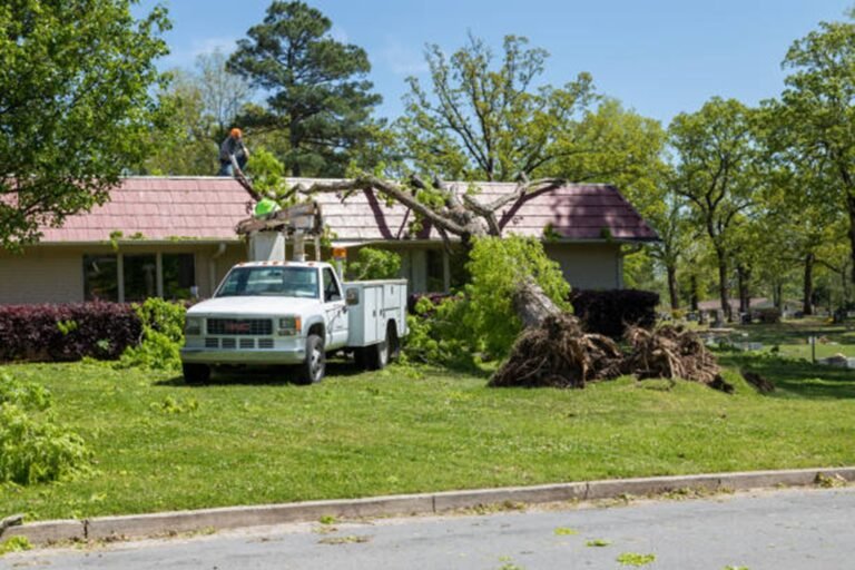 Is Tree Removal Covered by Homeowners Insurance in Chardon, OH?